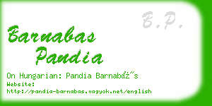 barnabas pandia business card